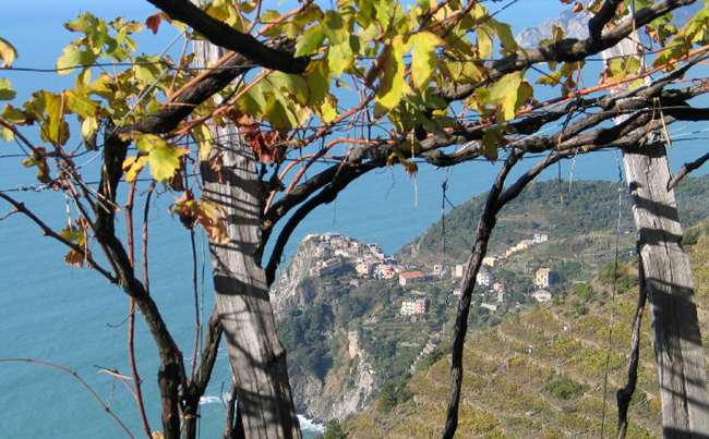 liguria