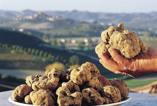 fiera del tartufo fiera del tartufo