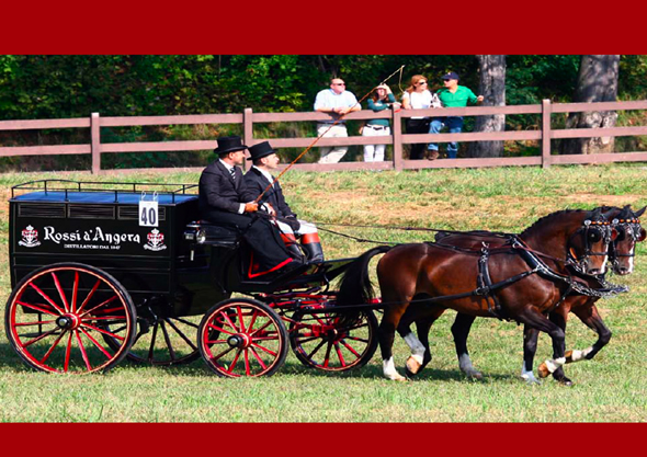 carrozza carrozza