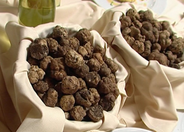 sagra tartufo ravenna sagra tartufo ravenna
