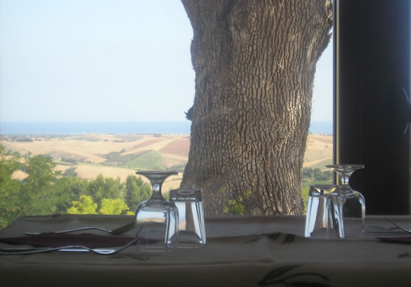 agriturismo ripabottina