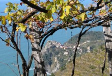 Lo Sciacchetrà delle Cinque Terre