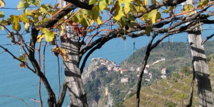 Lo Sciacchetrà delle Cinque Terre