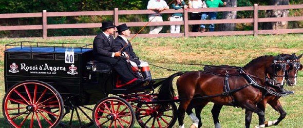 WEEKEND IN CARROZZA FRA RICETTE SEGRETE ED ANTICHE ESSENZE