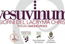 Vesuvinum – I Giorni del Lacryma Christi