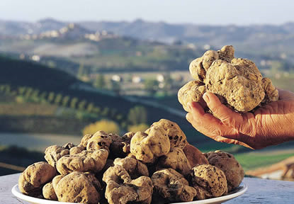 tartufo marzaruolo