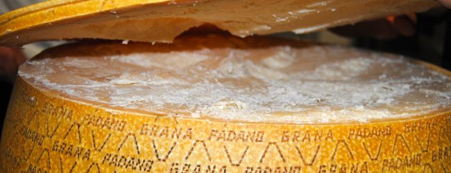 Grana Padano